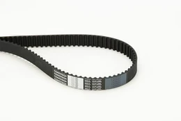 CONTI CT 1037 Timing belt kaina