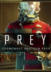 Prey PC kaina
