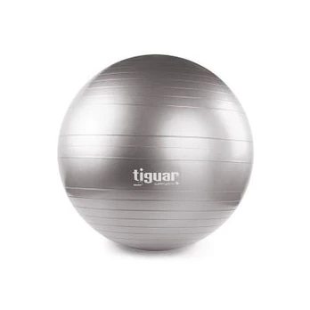 Gimnastikos kamuolys TIGUAR Safety Plus, 65cm