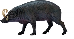 Žaislinė figūrėlė Collecta Babirusa 88727, 100 mm
