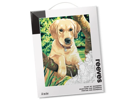Tapyba pagal skaičius Reeves 30x40cm labrador