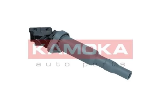 Ritė, uždegimas KAMOKA 7120066