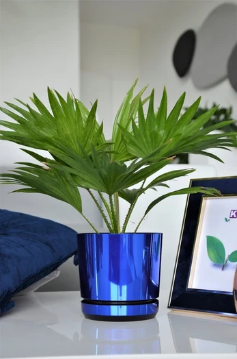 Dekoratyvinė gėlių vazonas 14 cm, mėlynas blizgus