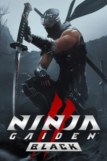 Ninja Gaiden 2 Black PC