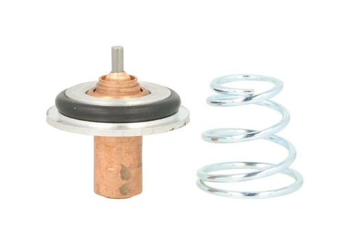 termostatas, aušinimo skystis D2R002TT