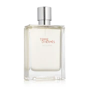Kvapusis vanduo Hermes Terre D'Hermes Eau Givree EDP vyrams 100 ml kaina