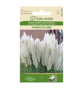 KORTADERIJOS ARGENTININĖS PAMPAS PLUME balta „ŽALIA STOTELĖ” 0,2 G