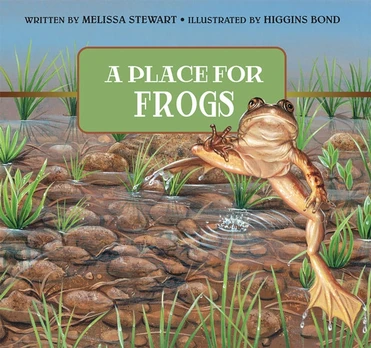Place For Frogs