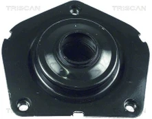 TRISCAN 850065900 Pakabos statramsčio atraminis guolis