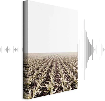 Artgeist Paveikslas - Corn Field (1 Part) Vertical