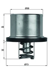Termostatas, aušinimo skystis MAHLE TX 37 79