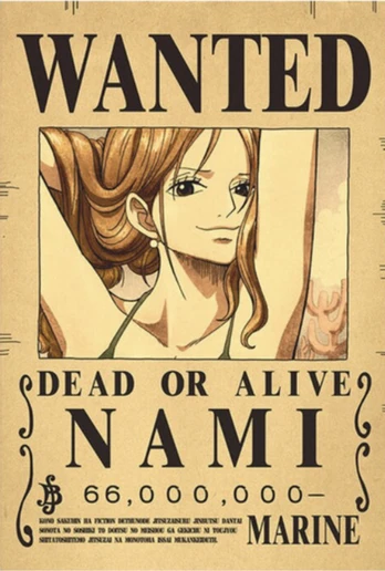 Plakatas One Piece