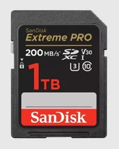 MEMORY SDXC 1TB UHS-I/SDSDXXD-1T00-GN4IN SANDISK kaina