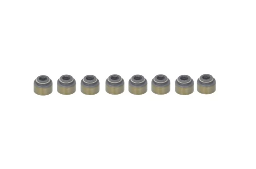 REINZ 12-53473-01 Valve stem seal set