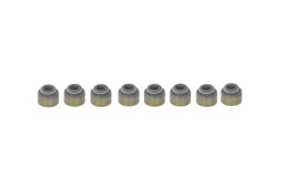 REINZ 12-53473-01 Valve stem seal set kaina