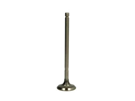 PARADOWSCY PMIT029 Exhaust valve
