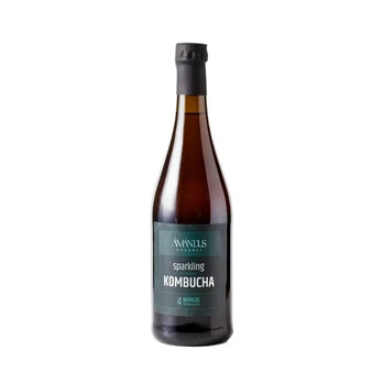 Putojantis kombučia gėrimas 4 WORLDS KOMBUCHA