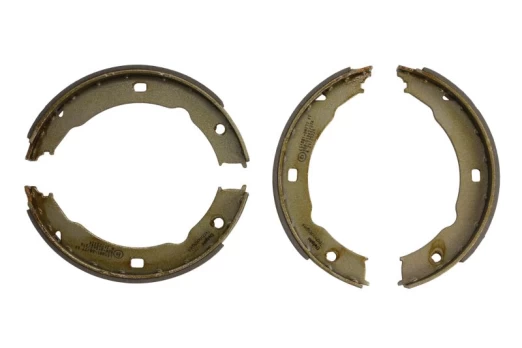 DELPHI LS1881 Brake shoe set