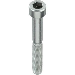 Varžtas DIN 912 Haushalt, 5 mm x 10 mm, 40 vnt.