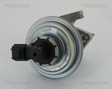 ERG vožtuvas TRISCAN 8813 16045