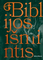 Biblijos išmintis kaina