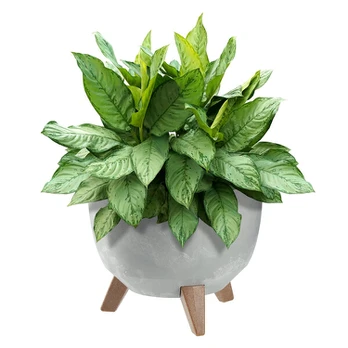 Gėlių vazonas su įdėklu ir kojelėmis, 29cm, pilkas