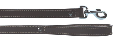 Pavadėlis Zolux Leather Lined, rudas, 1 m x 25 mm kaina