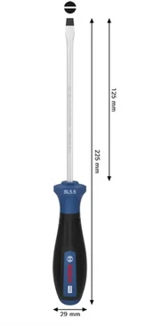 Asta Bosch PRO Atsuktuvas SL 1.0 x 5.5 x 125 mm