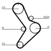 CONTI CT 731 Timing belt kaina