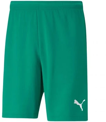 Puma teamRISE Šortai M 704942 05