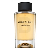 Tualetinis vanduo Kenneth Cole Intensity EDT vyrams, 100 ml kaina