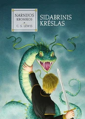 Sidabrinis krėslas. Narnijos kronikos 6 kaina