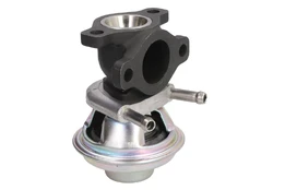 ERG vožtuvas BorgWarner (Wahler) 712069D kaina