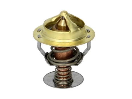 termostatas, aušinimo skystis THERMOTEC D2CU001TT