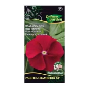 RAUSVOJI ŽIEMĖ PACIFICA - XP CRANBERRY XP kaina