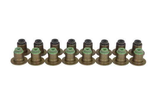 REINZ 12-10011-01 Valve stem seal set