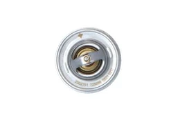 Termostatas, aušinimo skystis NRF 725036 kaina