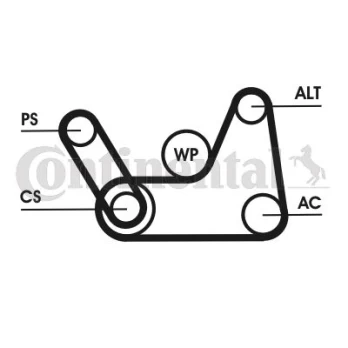 V formos rumbuotas diržas, komplektas CONTINENTAL CTAM 6PK1019 ELAST T1