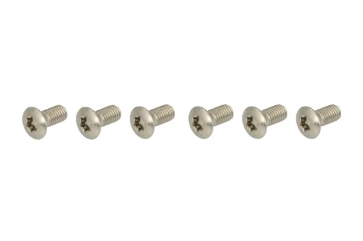 Brake disc rivets set MSW104-6 TRW
