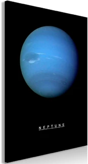 Artgeist Paveikslas - Neptune (1 Part) Vertical kaina