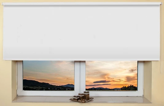 Sieninis / lubų roletas 100x170 cm, 800 Balta