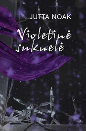 Violetinė suknelė kaina