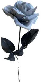 Fiesta Grå rose