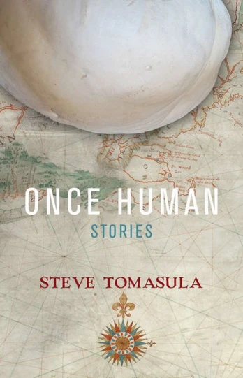 Once Human