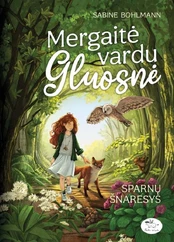 Mergaitė vardu Gluosnė 3. Sparnų šnaresys kaina
