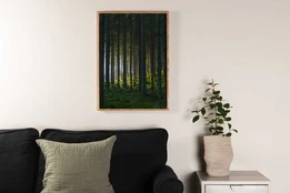 Paveikslas - Woods - 30x40 kaina