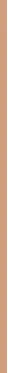 Essence Make-up Silky Cushion Foundation 12 g