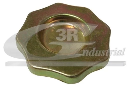Dangtelis, alyvos pildymo anga 3RG 81281