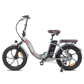 Elektrinis dviratis Fafrees F20 Pro 20", pilkas