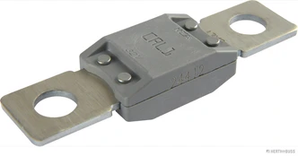 Saugiklis HERTH+BUSS ELPARTS 50295841 kaina